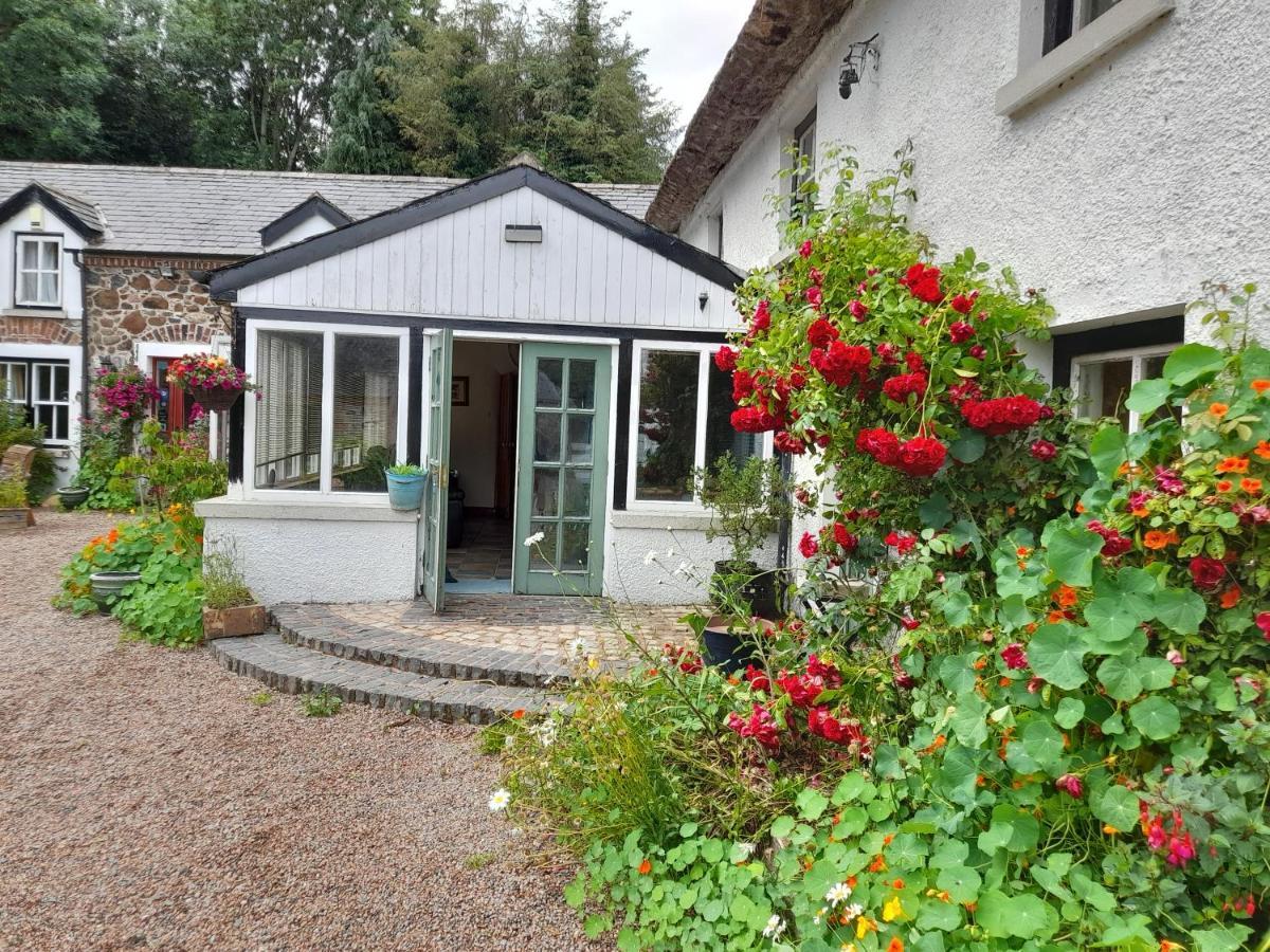 Berwickhall Apartment Craigavon エクステリア 写真