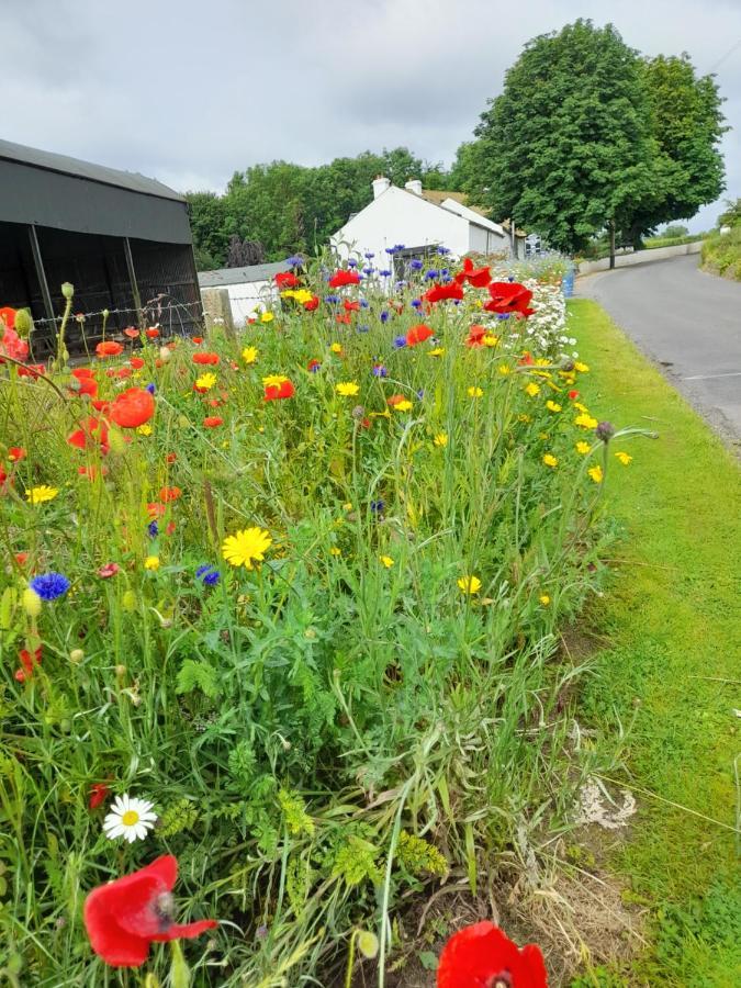Berwickhall Apartment Craigavon エクステリア 写真