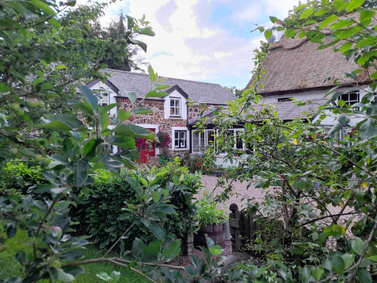 Berwickhall Apartment Craigavon エクステリア 写真