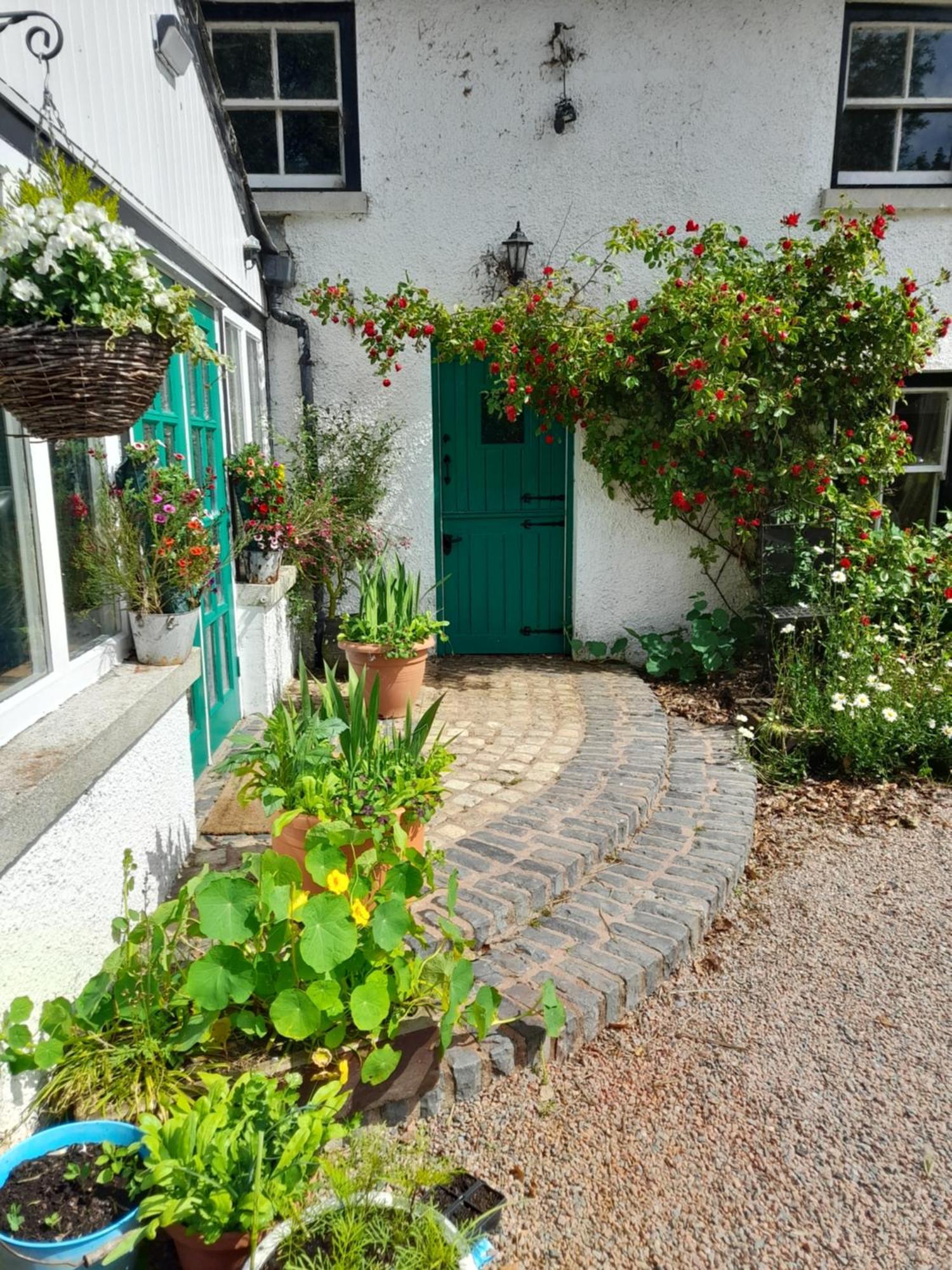 Berwickhall Apartment Craigavon 部屋 写真